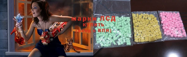 эйфоретик Богданович
