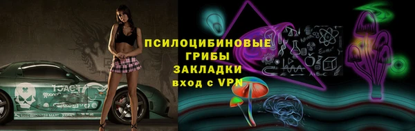 эйфоретик Богданович