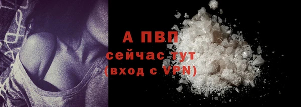 эйфоретик Богданович