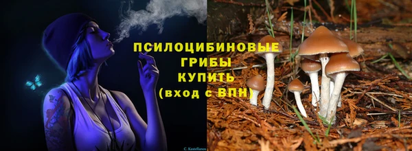 скорость Богородск