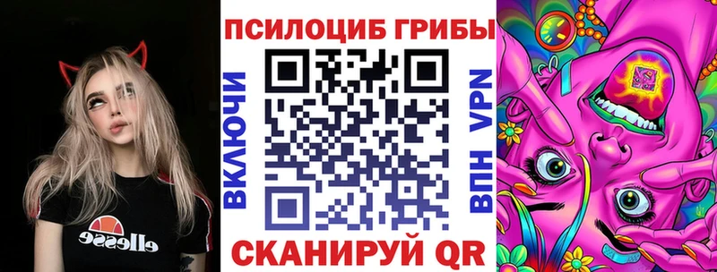 Псилоцибиновые грибы GOLDEN TEACHER  закладка  Наро-Фоминск 